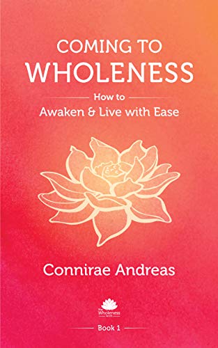 Coming to Wholeness – book cover